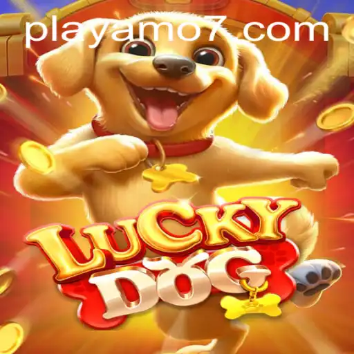 Discover the Thrills of LuckyDog at PlayAmo
