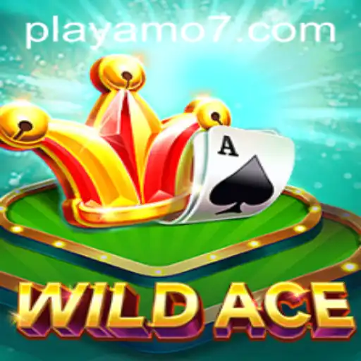 Discovering WildAce: The Thrilling Card Game on PlayAmo